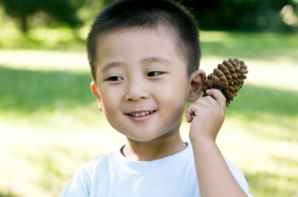 Go on a pinecone picking adventure with your kids this fall.
