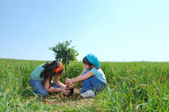Cet été, plantez un arbre dans votre jardin avec les enfants. 