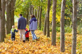 Take your kids on a nature hike this fall.