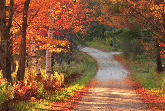 Think of life as a pathway.